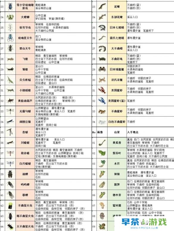 《蜡笔小新煤炭镇的小白》螳螂抓捕攻略